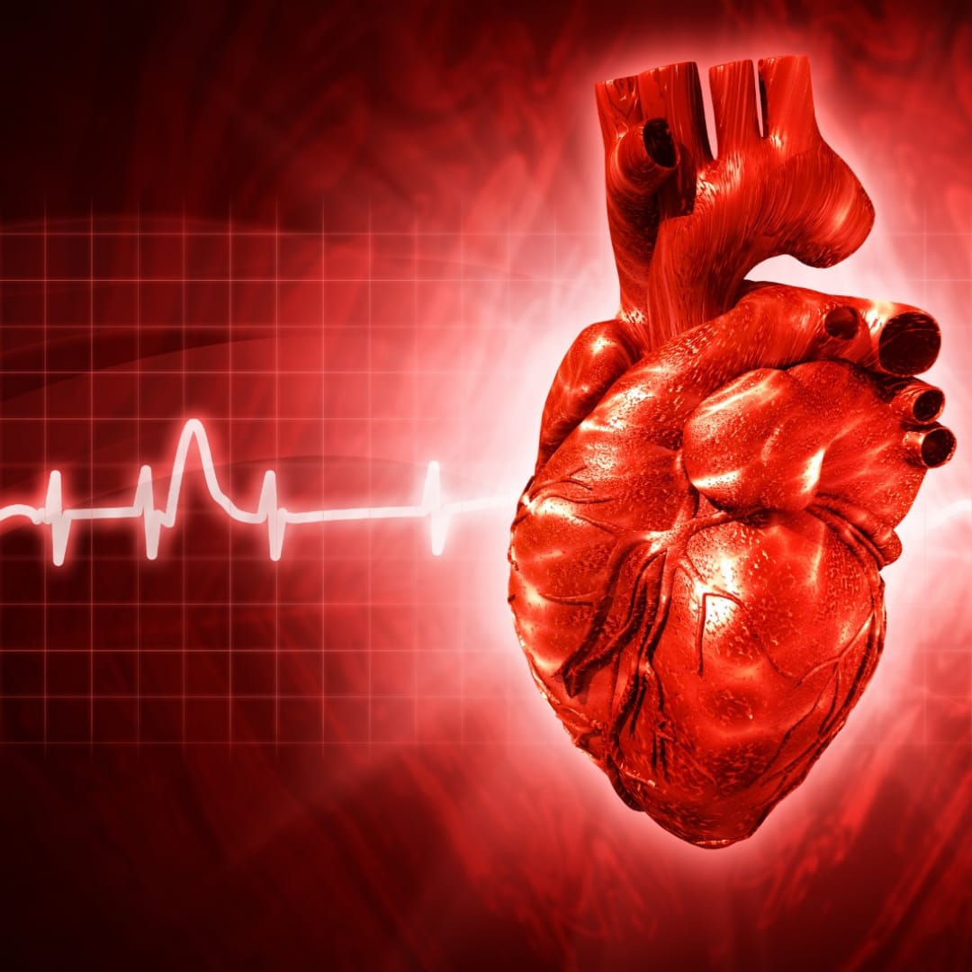 Cardiac Surgery in India